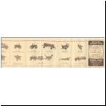 Britains Clockwork Series leaflet